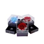 Rose éternelle en écrin bijou – Collection Écrin