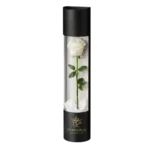 ROSA LARGE BLANC - Image 3