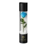 Rose éternelle Large Bleu Ciel - Image 2