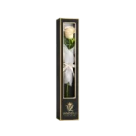 Rose éternelle Large Crème - Image 2