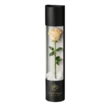 Rose éternelle Large Crème - Image 3