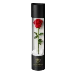 Rose éternelle Large Fuchsia - Image 2