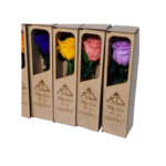 Rose éternelle longue tige – Collection Nature