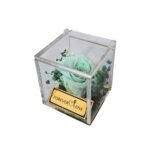 Rose éternelle cube transparent – Collection Mini